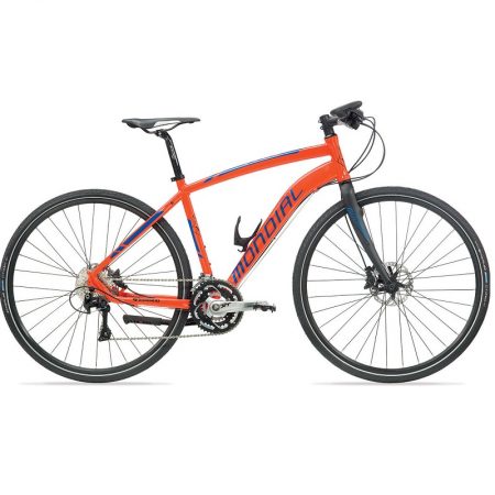 bici trekking ibrida
